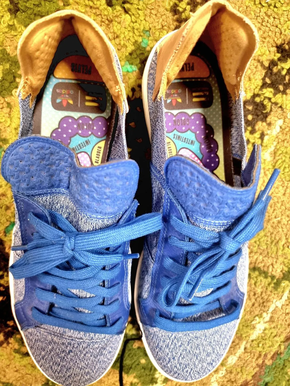 Adidas X Pharrell Williams Trainers