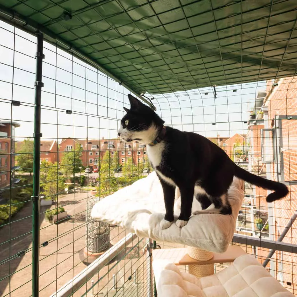 Omlet Cat Balcony Enclosure | Catio